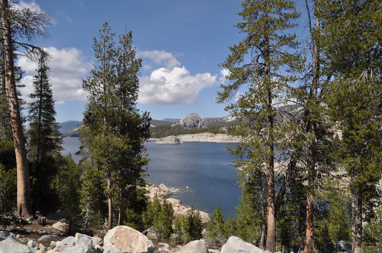 Dinkey Creek Sierra National Forest